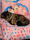 BIODEGRADABLE DISPOSABLE Litter Box - BROWN was 3 trays, NOW 4-(FOUR TRAYS) *Google review ask. Same price. - Cats Desire Disposable Cat Litter Boxes