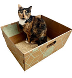 Cats Desire Cat House with Scratcher Mat and Catnip pouch - Cats Desire Disposable Cat Litter Boxes