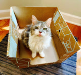 Cat LITTER BOXES - 10 PACK BROWN-for cats-10 cat litter trays - Cats Desire Disposable Cat Litter Boxes
