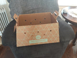 Cats Desire Disposable Pet Carrier - Cats Desire Disposable Cat Litter Boxes