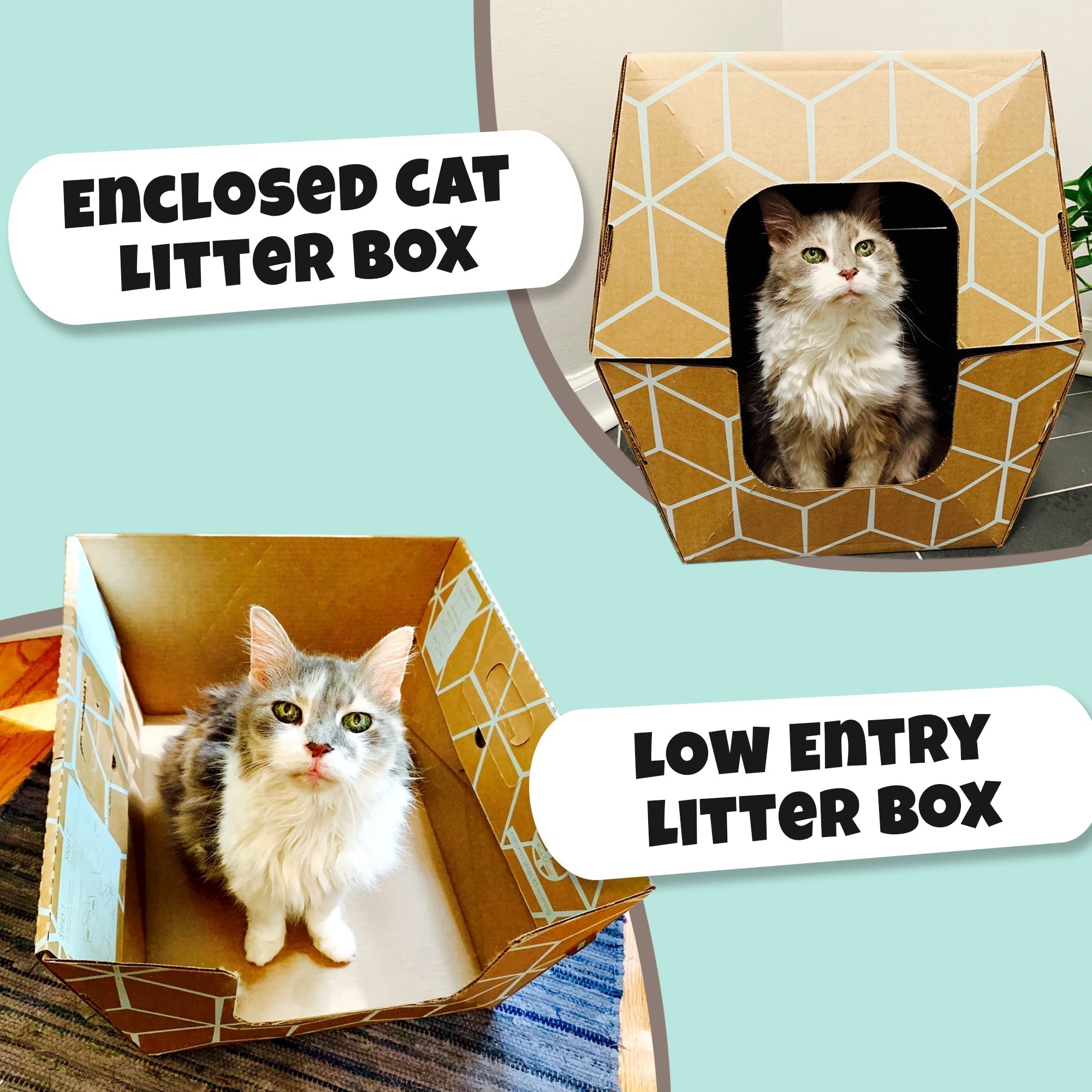 Open or closed cardboard cat litter box