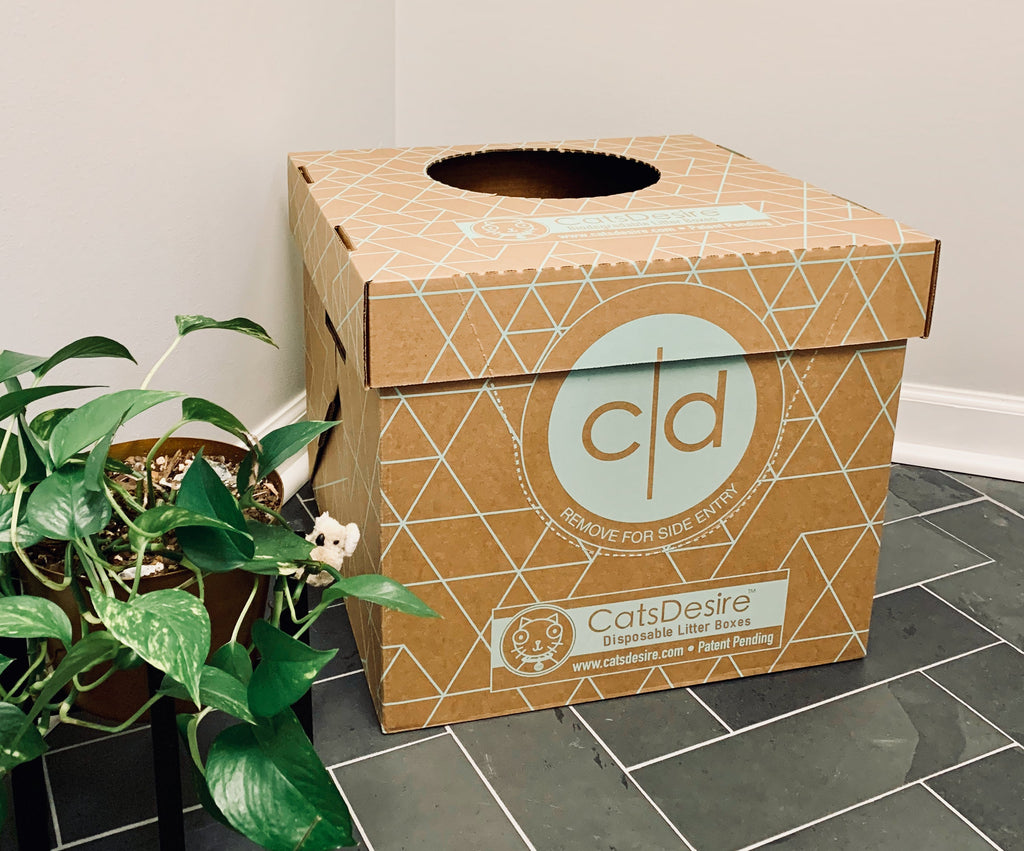 Cats Desire has another Disposable Litter box with a US Patent!