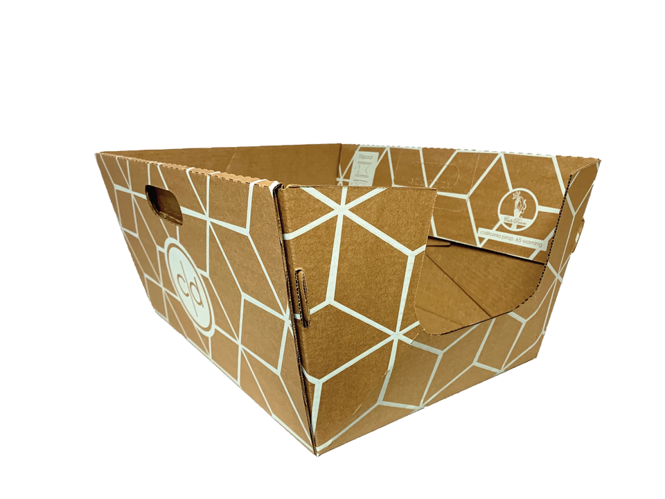 BIODEGRADABLE OPEN TRAYS