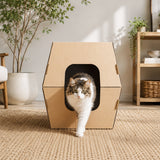 Disposable Cat Litter Boxes Cats Desire Disposable Cat Litter Boxes