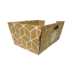 BIODEGRADABLE & DISPOSABLE - BROWN 3 PACK • FREE SHIPPING! - Cats Desire Disposable Cat Litter Boxes